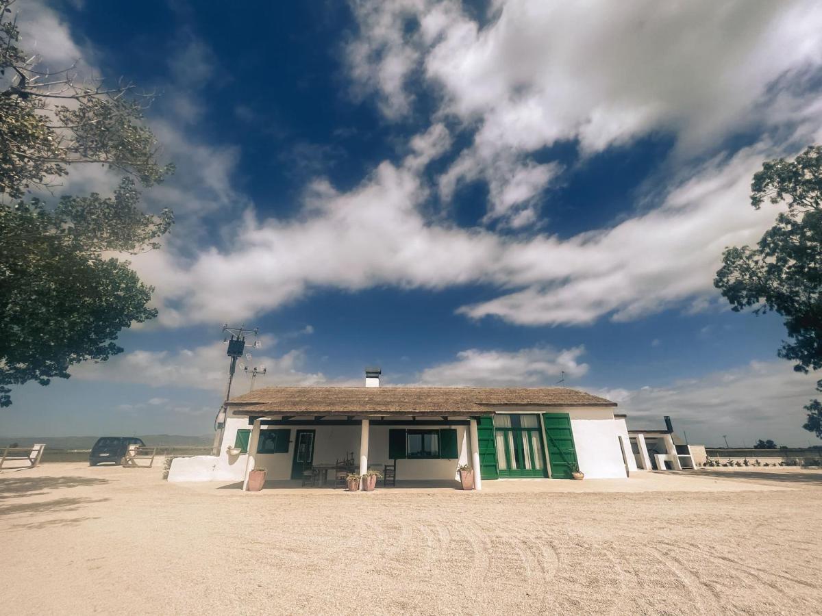 Masia Blanca Deltebre Bagian luar foto