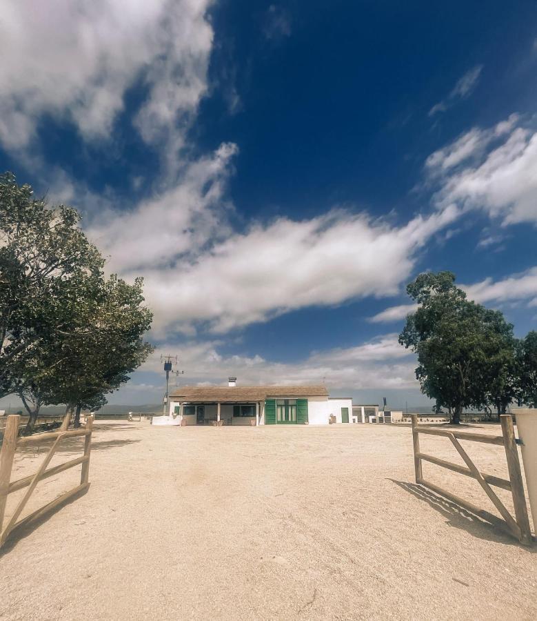 Masia Blanca Deltebre Bagian luar foto