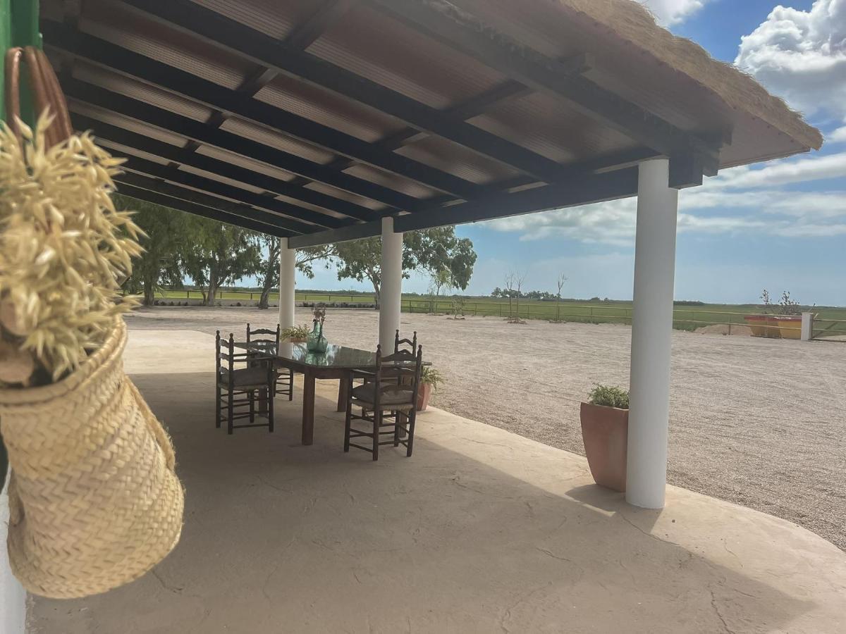 Masia Blanca Deltebre Bagian luar foto
