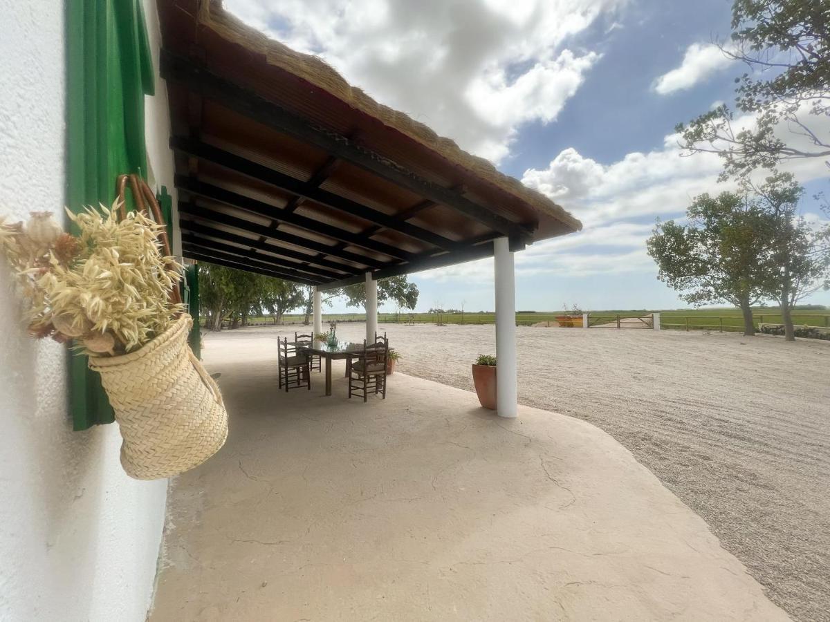 Masia Blanca Deltebre Bagian luar foto