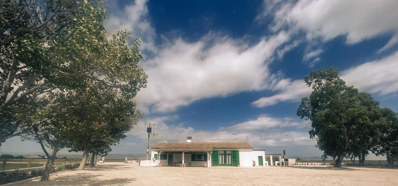 Masia Blanca Deltebre Bagian luar foto