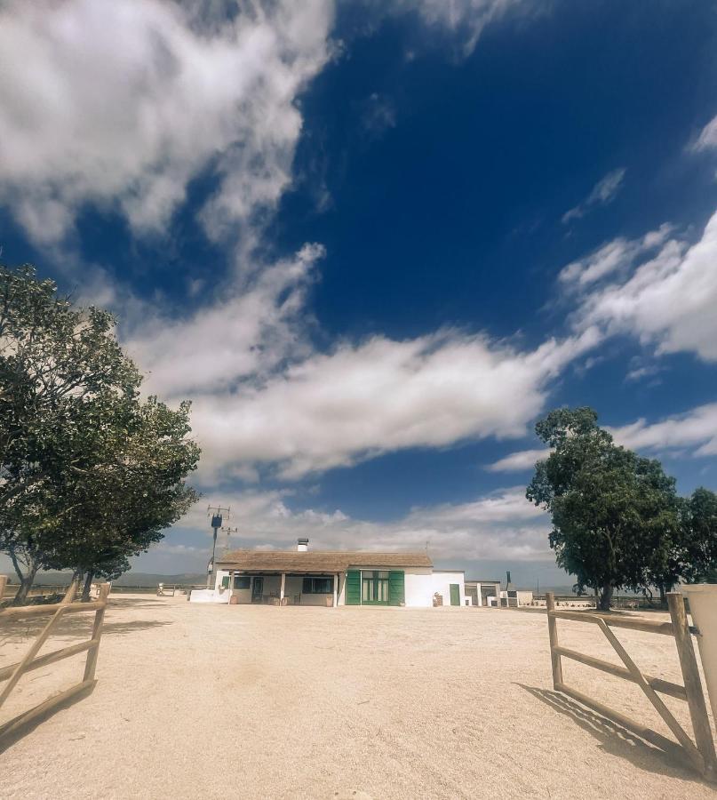 Masia Blanca Deltebre Bagian luar foto